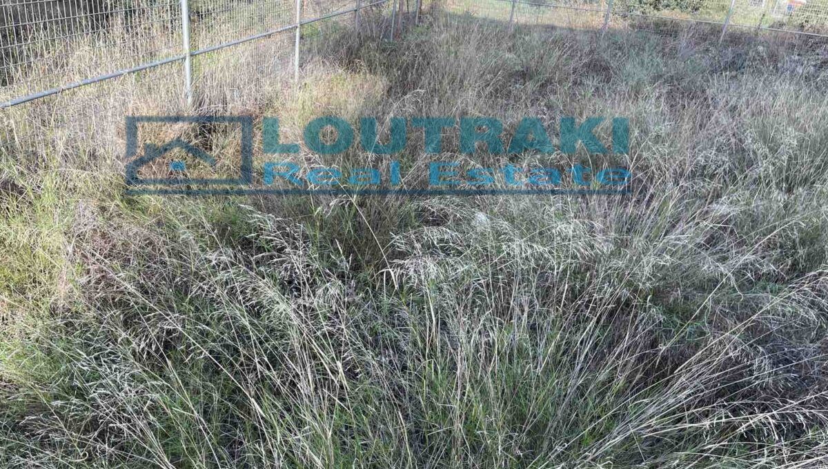 εικόνα_Viber_2022-12-16_21-28-27-775