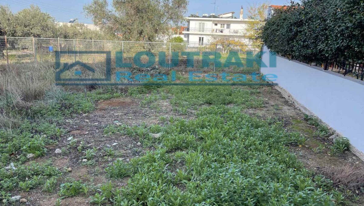 εικόνα_Viber_2022-12-16_21-28-29-137