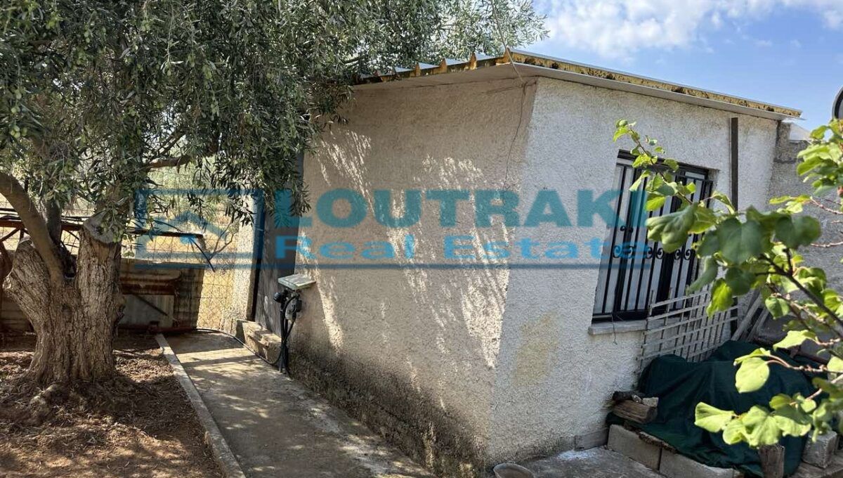 εικόνα_Viber_2024-08-06_10-22-06-990