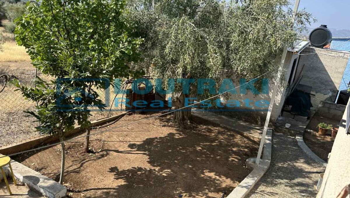 εικόνα_Viber_2024-08-06_10-22-08-330