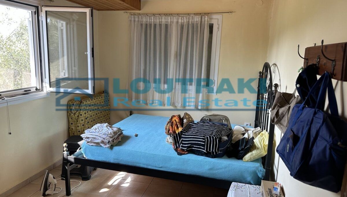 εικόνα_Viber_2024-08-06_10-22-09-761