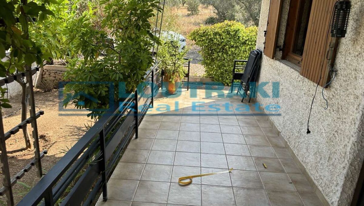 εικόνα_Viber_2024-08-06_10-22-12-164