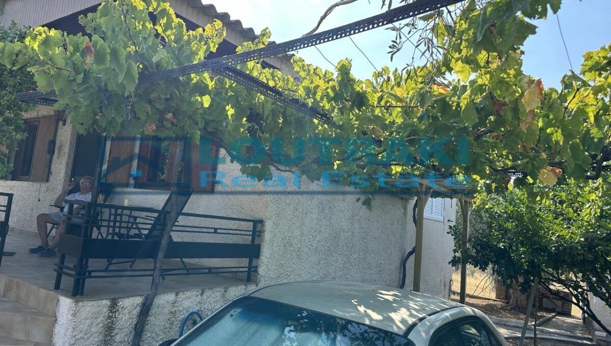 εικόνα_Viber_2024-08-06_10-22-14-313