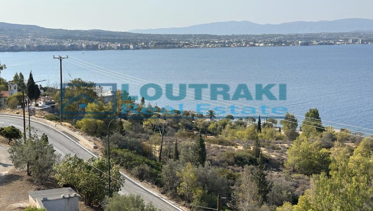 εικόνα_Viber_2024-08-07_10-56-03-659