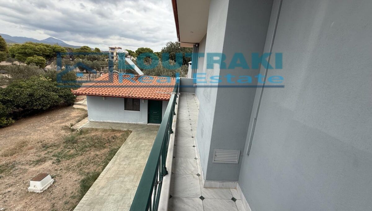 εικόνα_Viber_2024-11-11_13-55-06-536