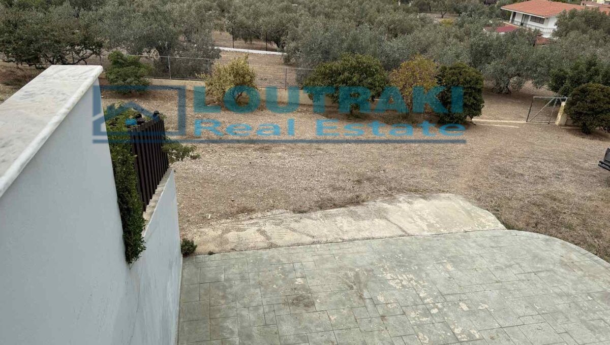 εικόνα_Viber_2024-11-11_13-55-07-646