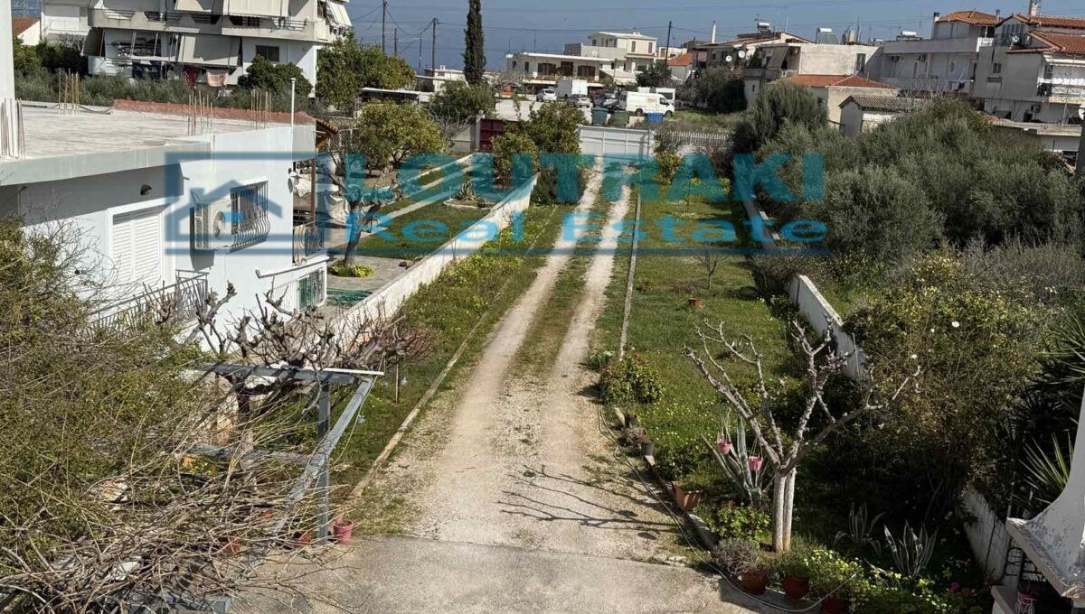 εικόνα_Viber_2025-03-15_12-02-57-459