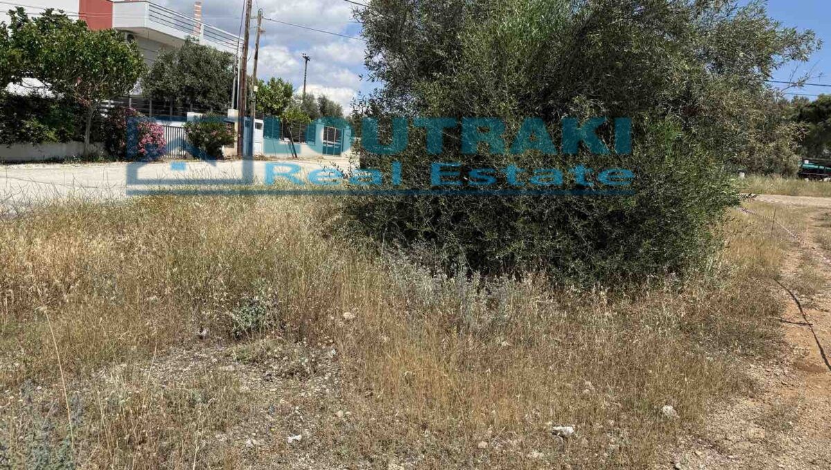 εικόνα_Viber_2025-05-14_18-32-42-377