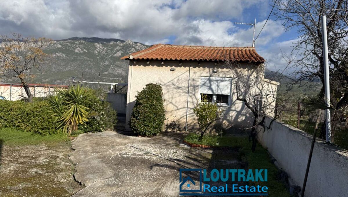 εικόνα_Viber_2026-01-30_11-15-53-794