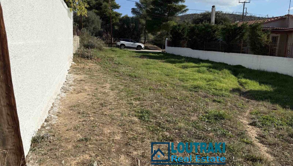 εικόνα_Viber_2025-12-02_13-24-53-528